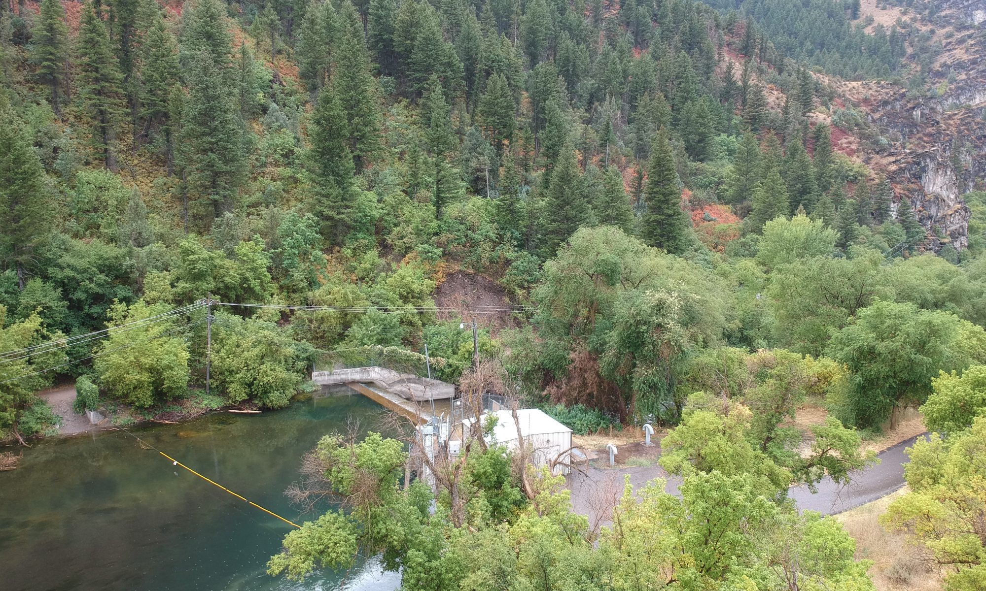 Nature in Logan Canyon